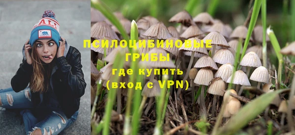 не бодяженный Медвежьегорск